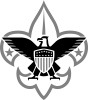 Troop 291